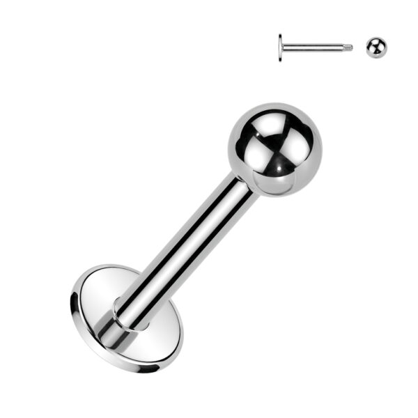 Standaard labret - Afbeelding 3