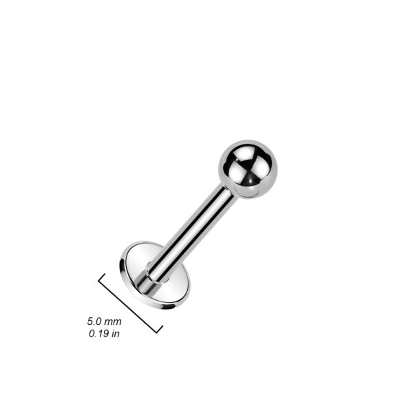 Standaard labret - Afbeelding 2