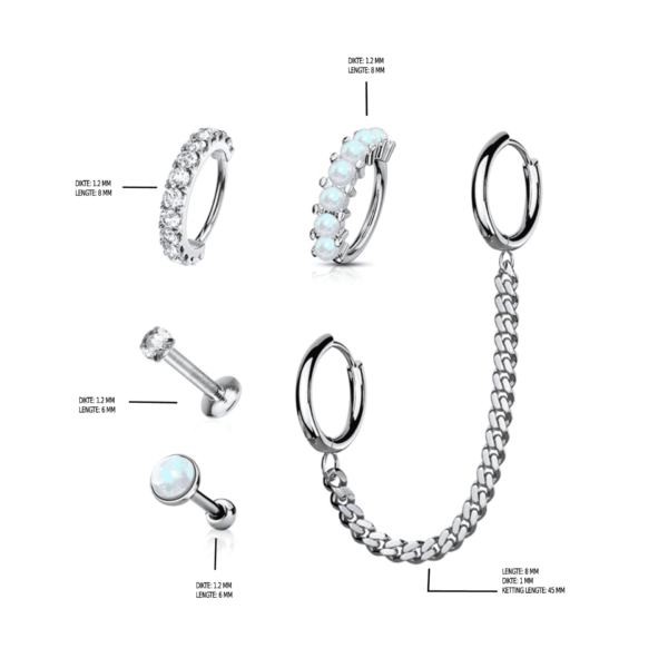 5 stuks kraakbeen-set met ringen en studs in verschillende kleuren - Afbeelding 2