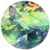 Donkergroen