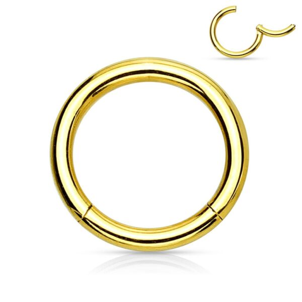 Vaste segmentring titanium plated in verschillende kleuren - Afbeelding 9