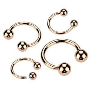 Circular Barbell – Roségoud IP over Chirurgisch Staal